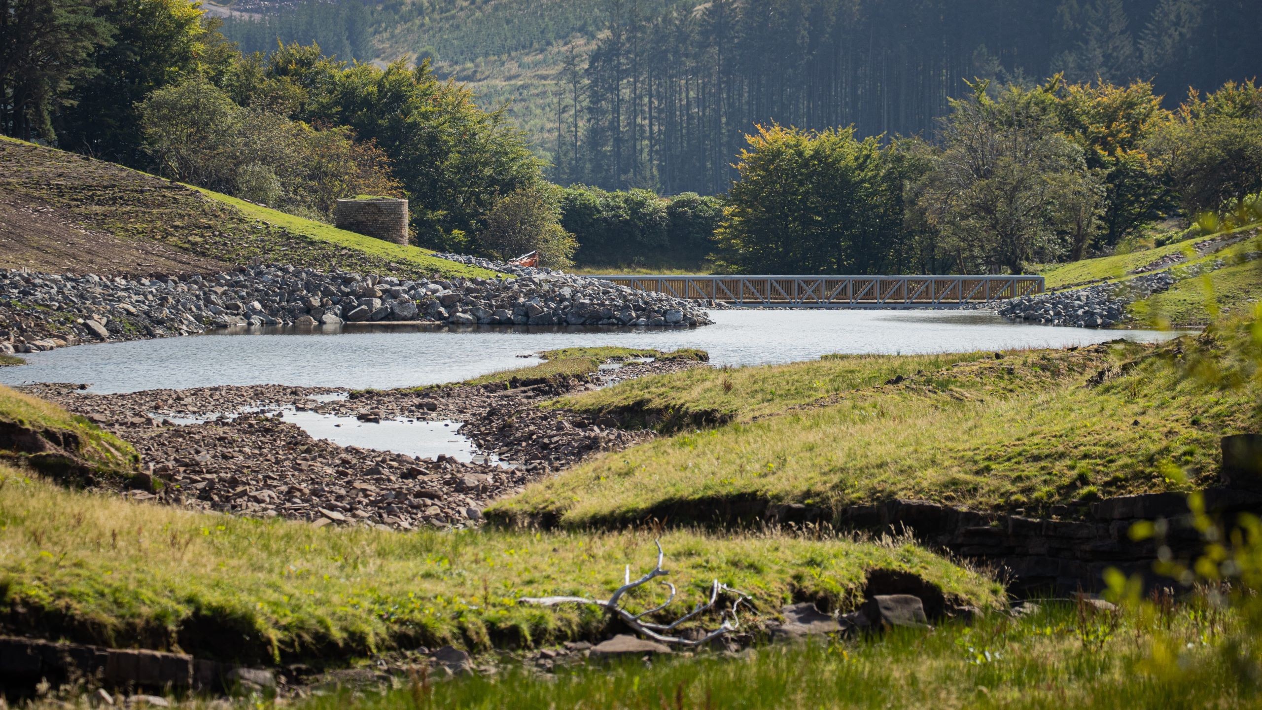Serene river flowing through lush green landscape with dense forest in the background.