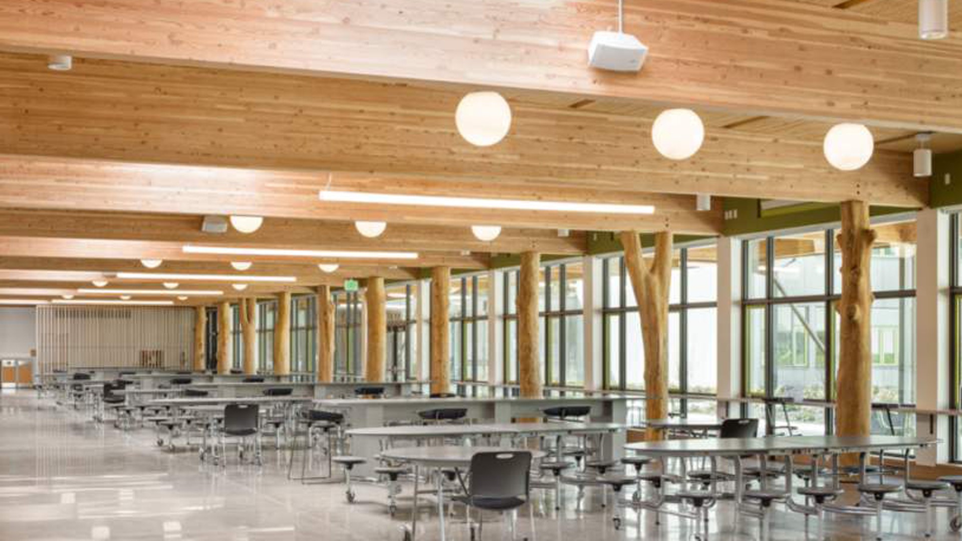 Spacious modern cafeteria with wooden beams, large windows, and rows of tables and chairs.