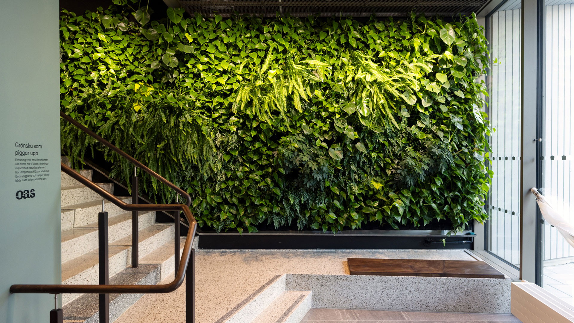 Indoor vertical garden with lush green plants, enhancing the modern office space ambiance.