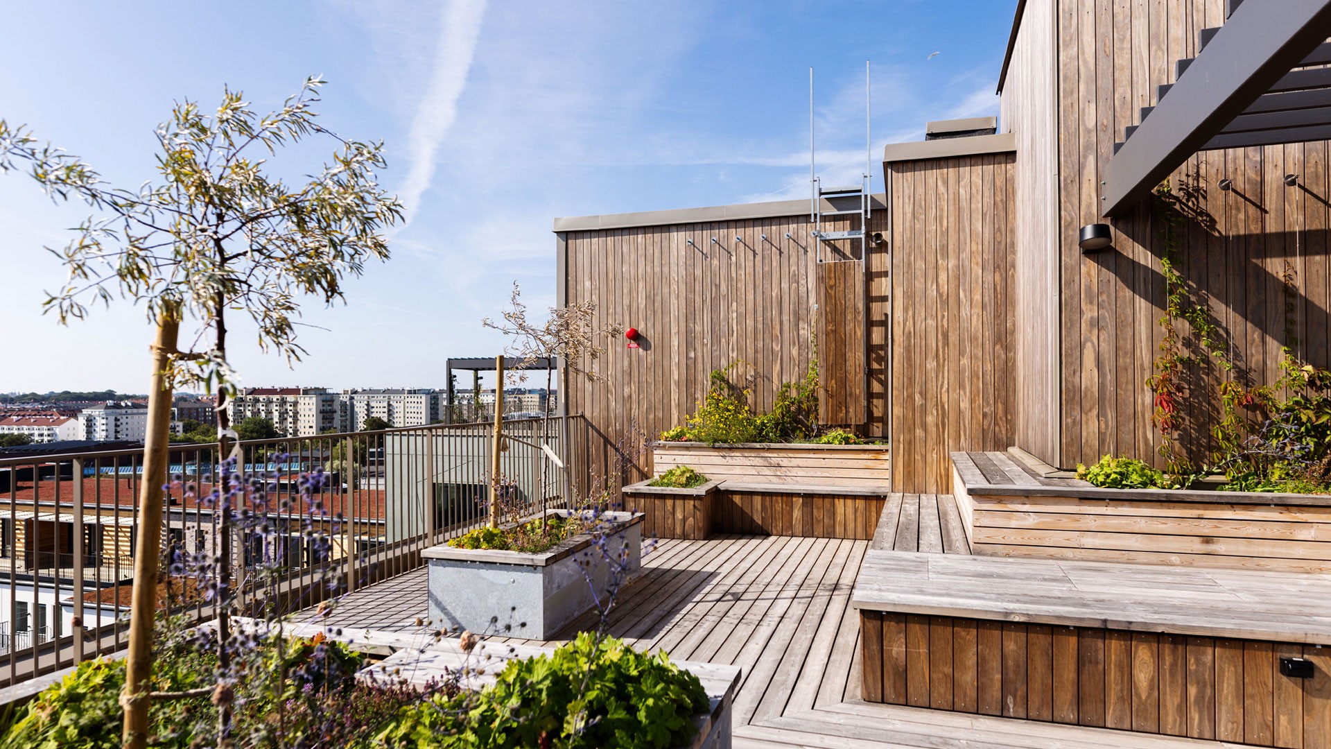 Rooftop terrace with wooden decking, planters, and cityscape views under a clear blue sky.