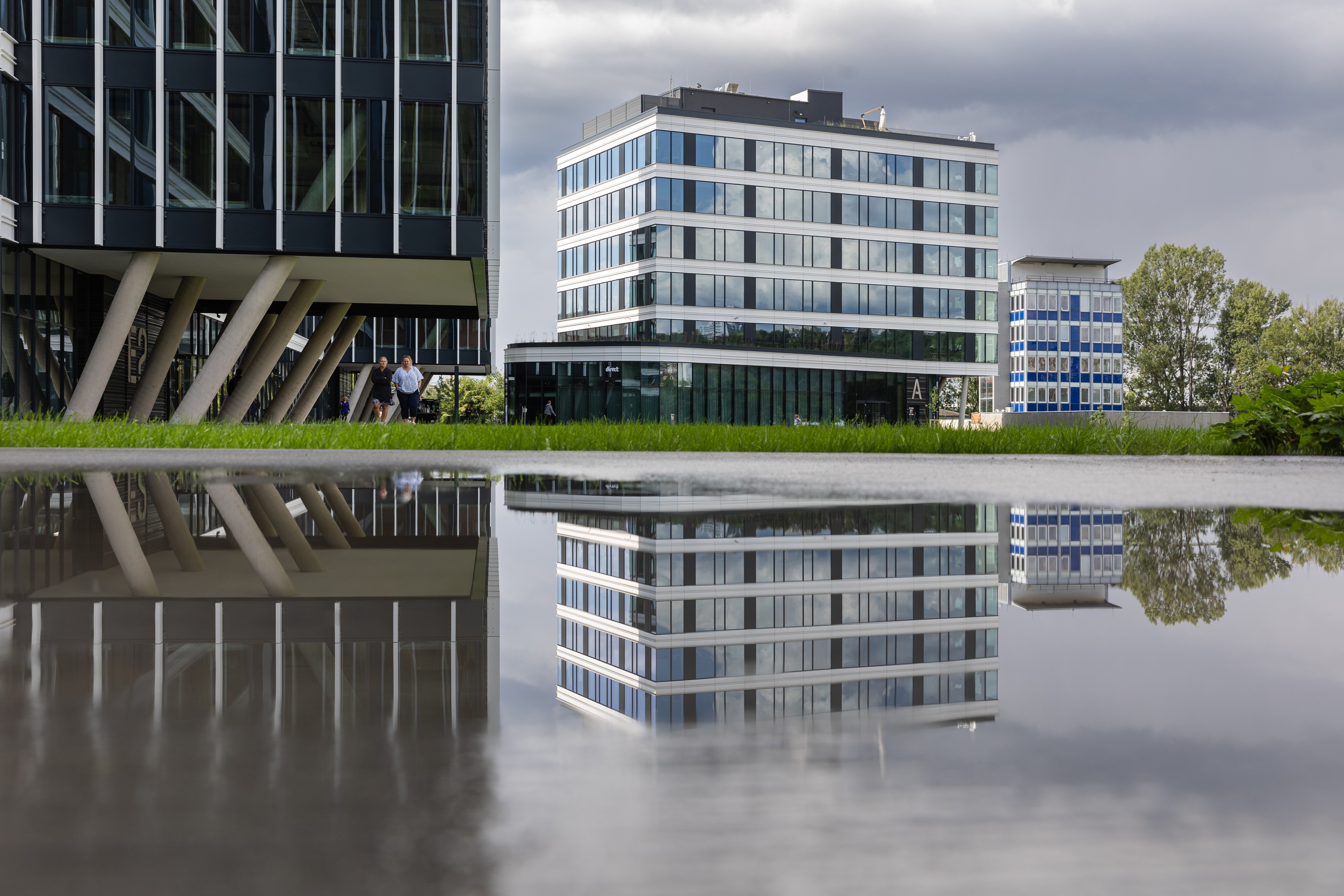 Port7 after the rain Modern office buildings reflected in a large puddle on an overcast day with green trees.