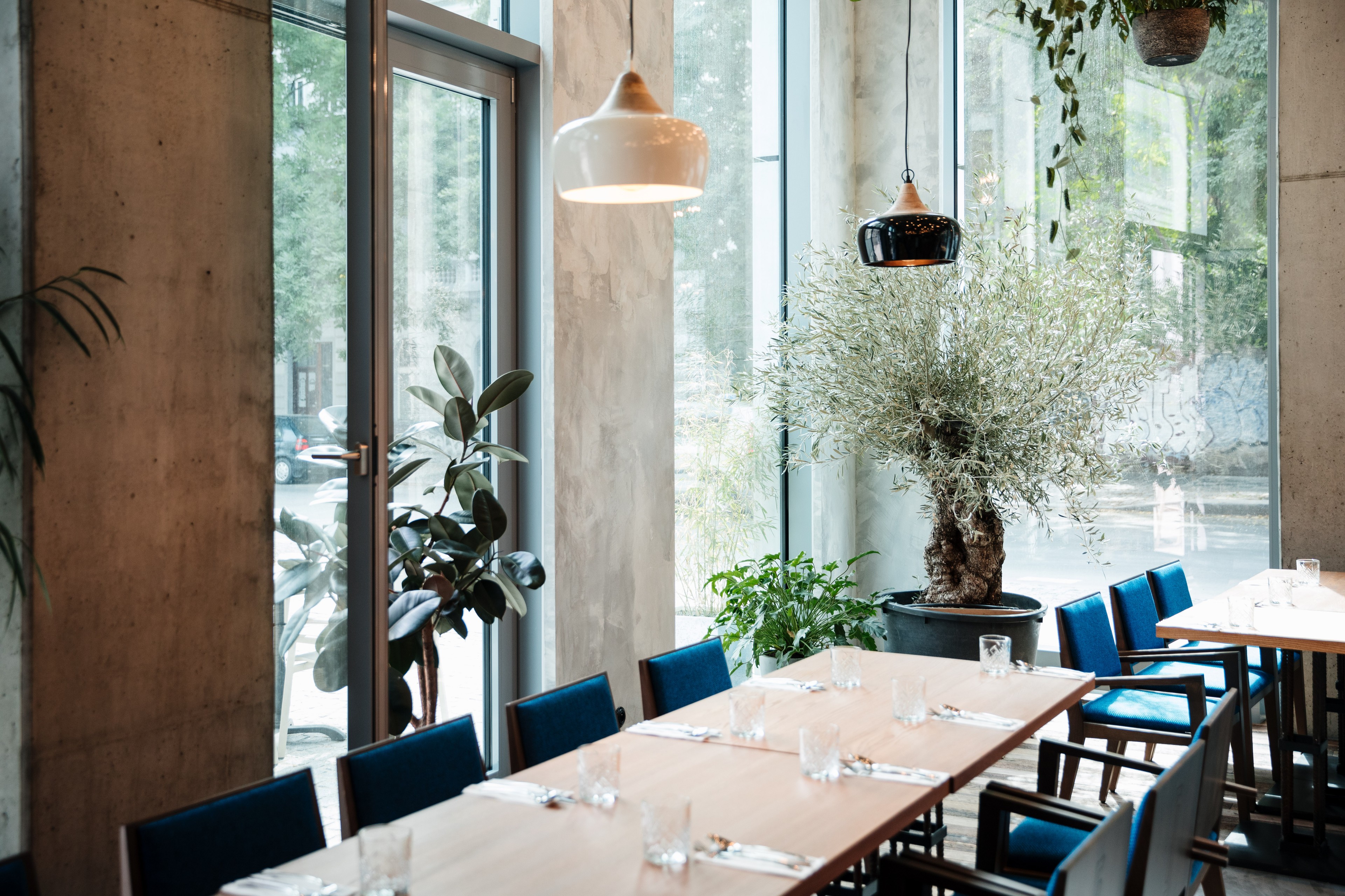 Vyhlášená restaurace Spojka v přízemí budovy Moderní jídelní prostor s dřevěnými stoly, modrými židlemi, velkými rostlinami a přirozeným světlem.