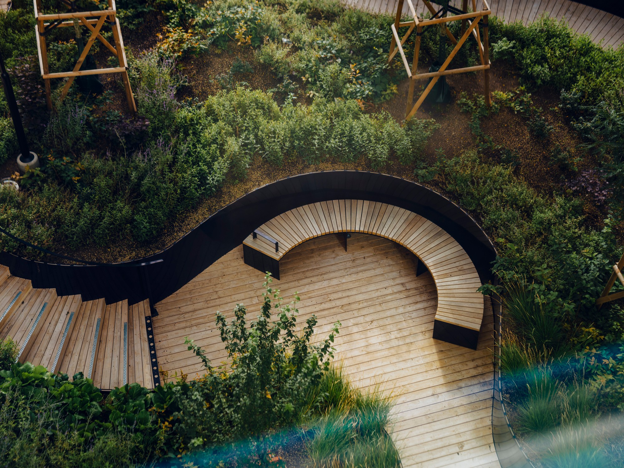 Quiet garden path with a curved wooden bench design A curved wooden path surrounded by lush greenery in a modern garden.