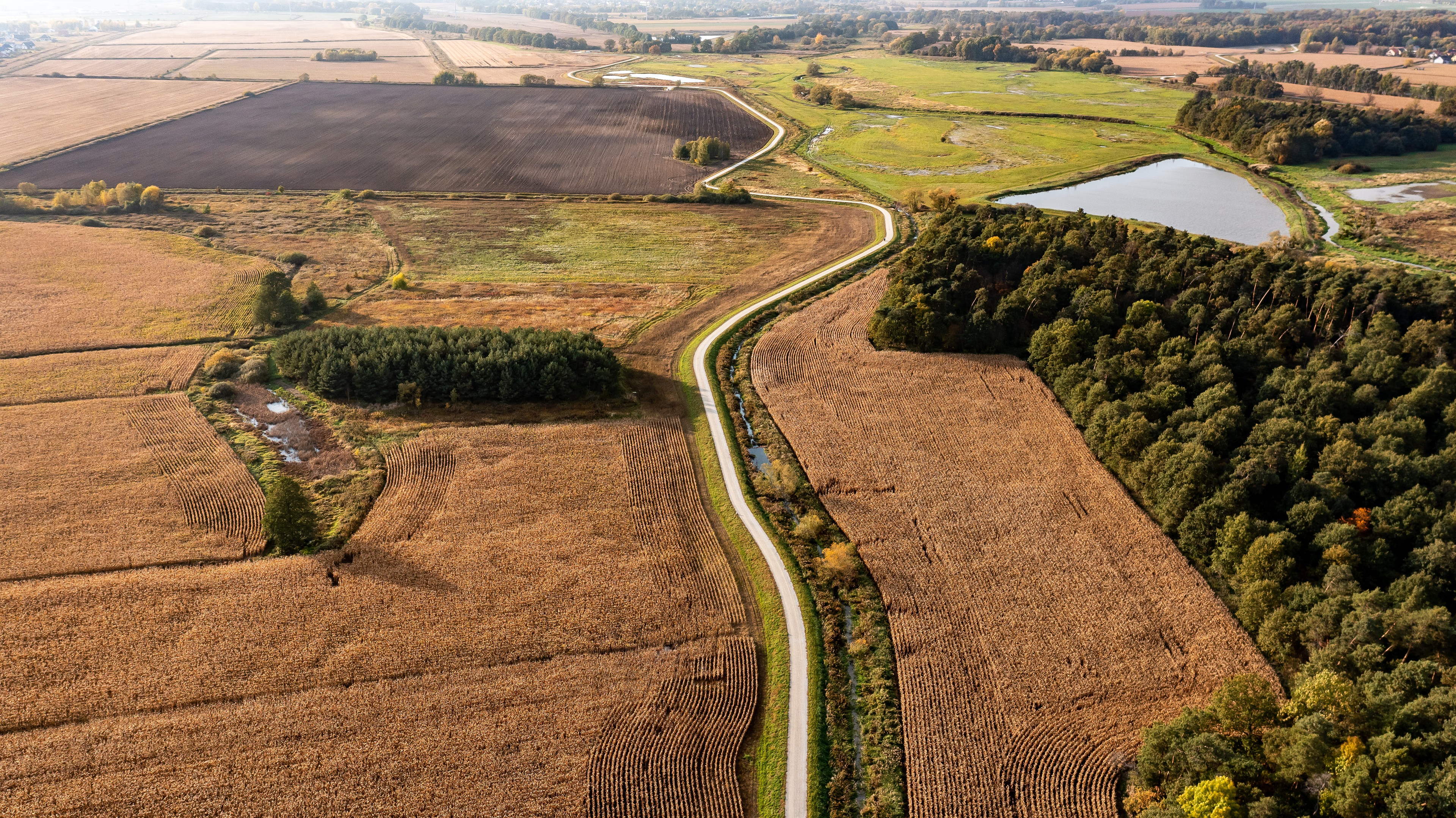 Pohled z ptačí perspektivy na klikatou venkovskou cestu přes pole, lesy a rybník v bujné krajině.