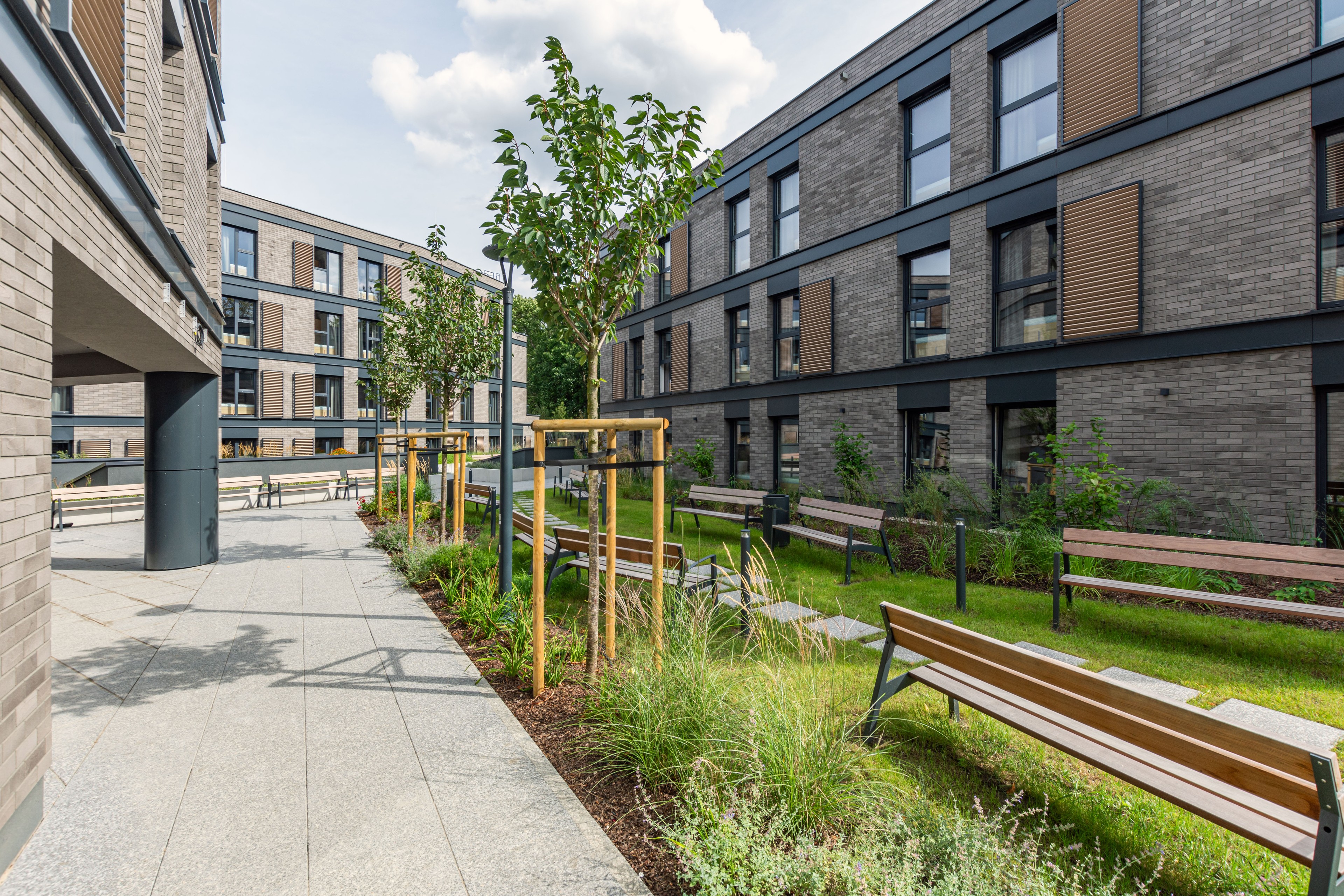 Nowoczesne podwórko apartamentowe z ławkami, młodymi drzewami i zielenią pod czystym niebem.
