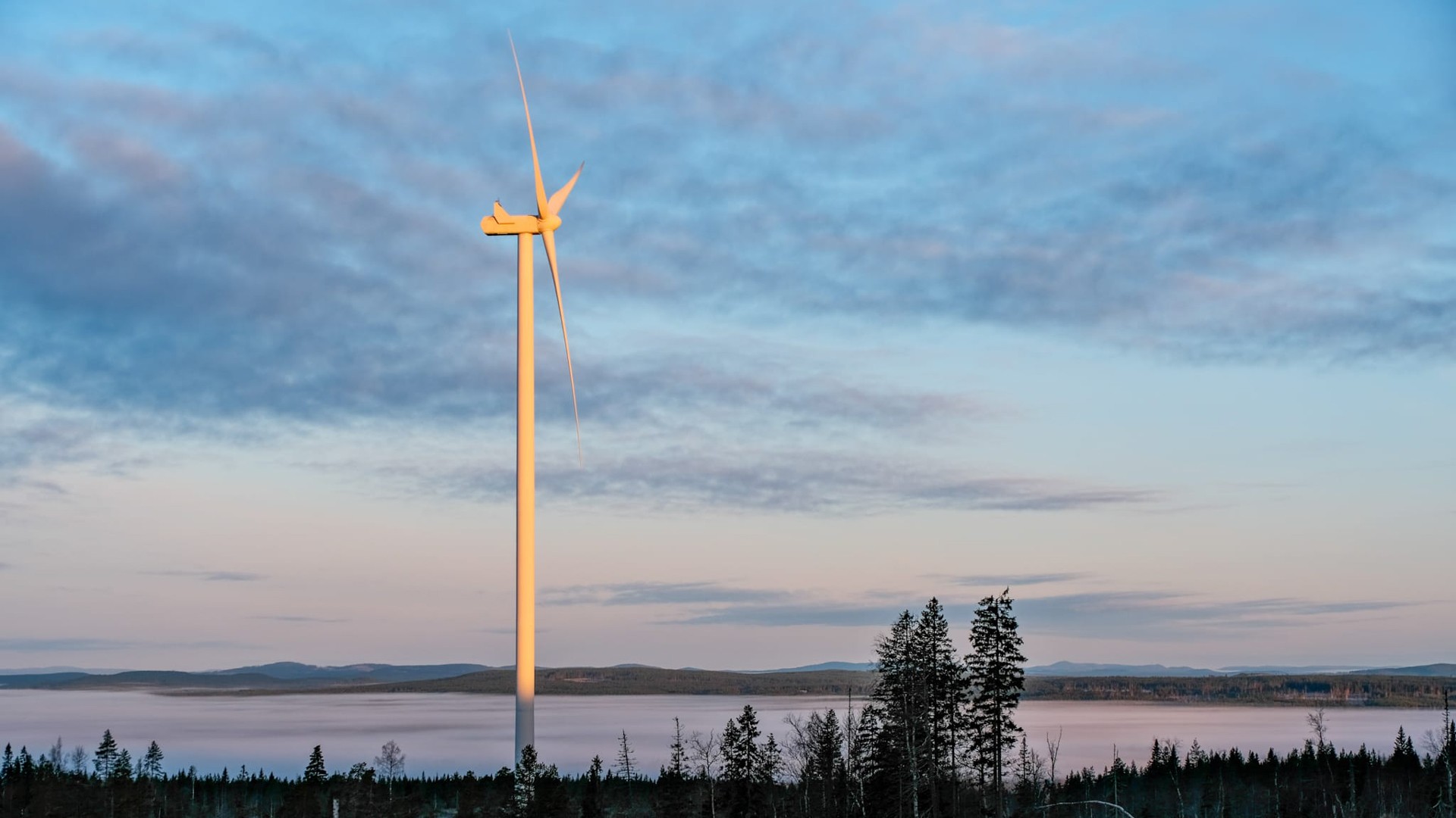 Skanska fick uppdraget att utveckla vindkraftparken av det norska bolaget Fred. Olsen Renewables 2014. Skanska fick uppdraget att utveckla vindkraftparken av det norska bolaget Fred. Olsen Renewables 2014.