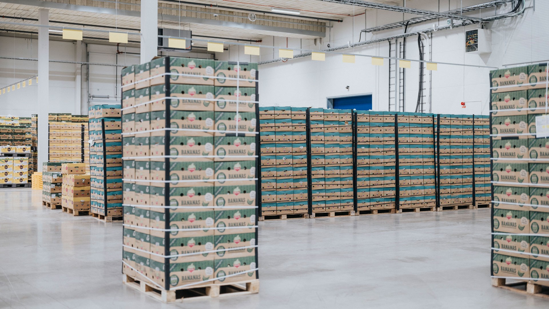 Logistikanläggningen är skapad för optimerad logistik. Foto: Samuel Uneus Greenfoods lager med banankartonger staplade på varandra.