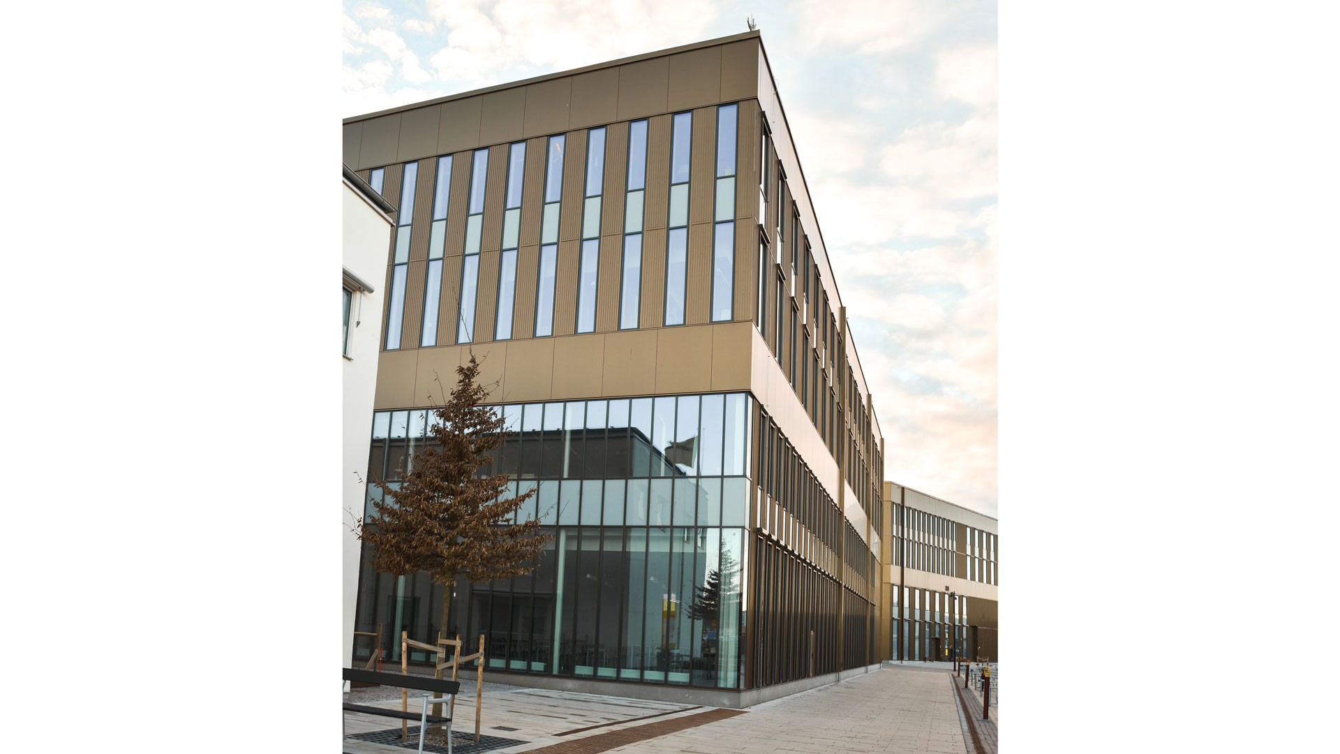 Modern byggnad med stora fönster och guldfärgad panel, omgiven av en stenlagd gångväg och ett träd.