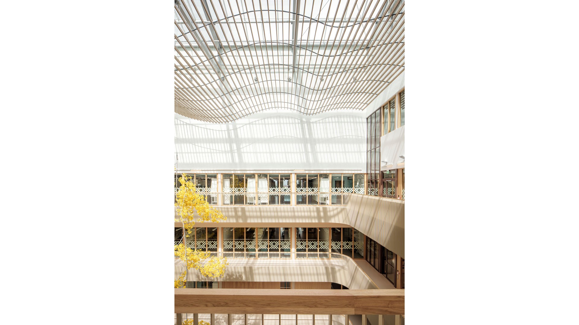 Modernt atrium med vågigt glastak, omgiven av balkonger och med ett gult träd.