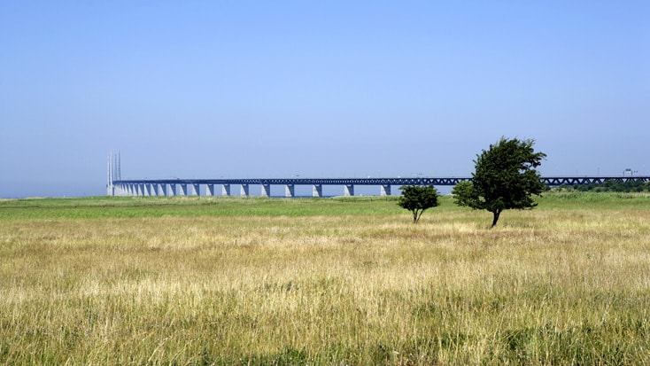 Öresundsbron sedd från svenska sidan av sundet. Förgrund av gult sädesfält med en bro och ett hav i bakgrunden.