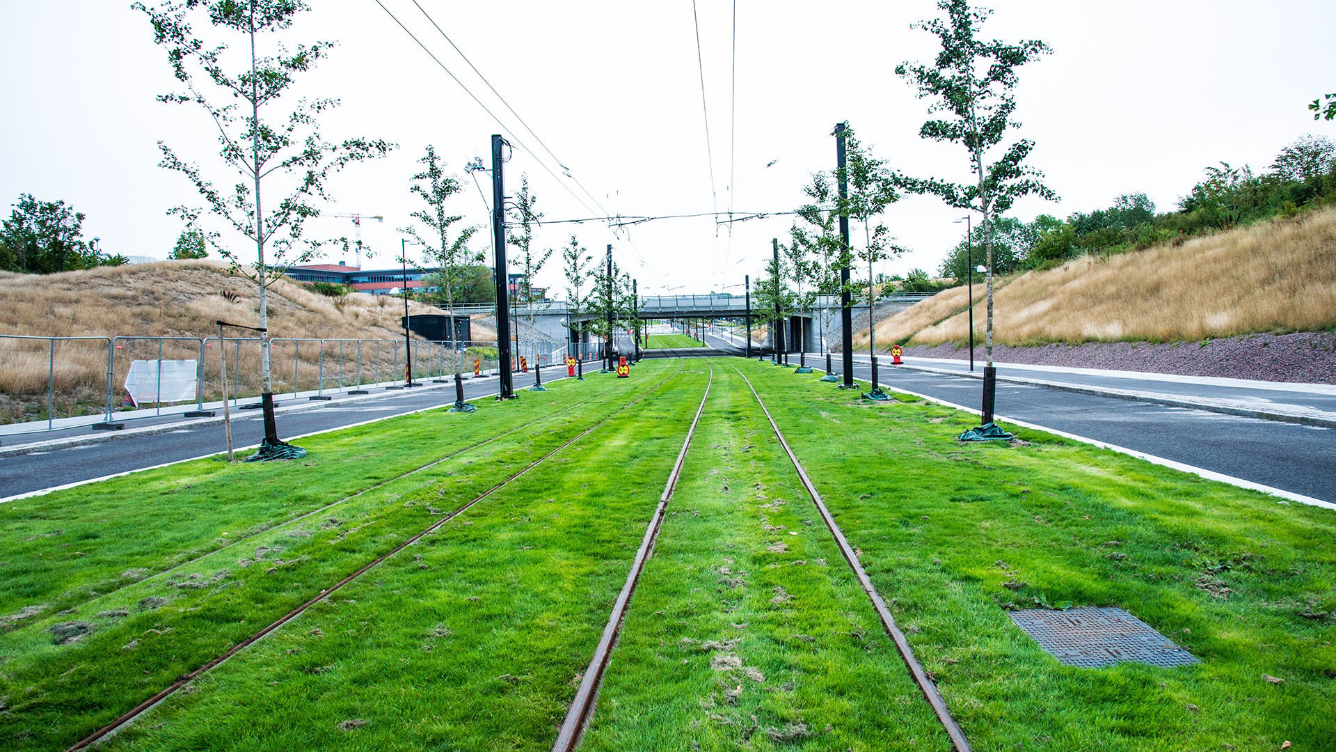 Gröna spårvagnsspår kantade med unga träd, omgivna av vägar och gräsbevuxna slänter.