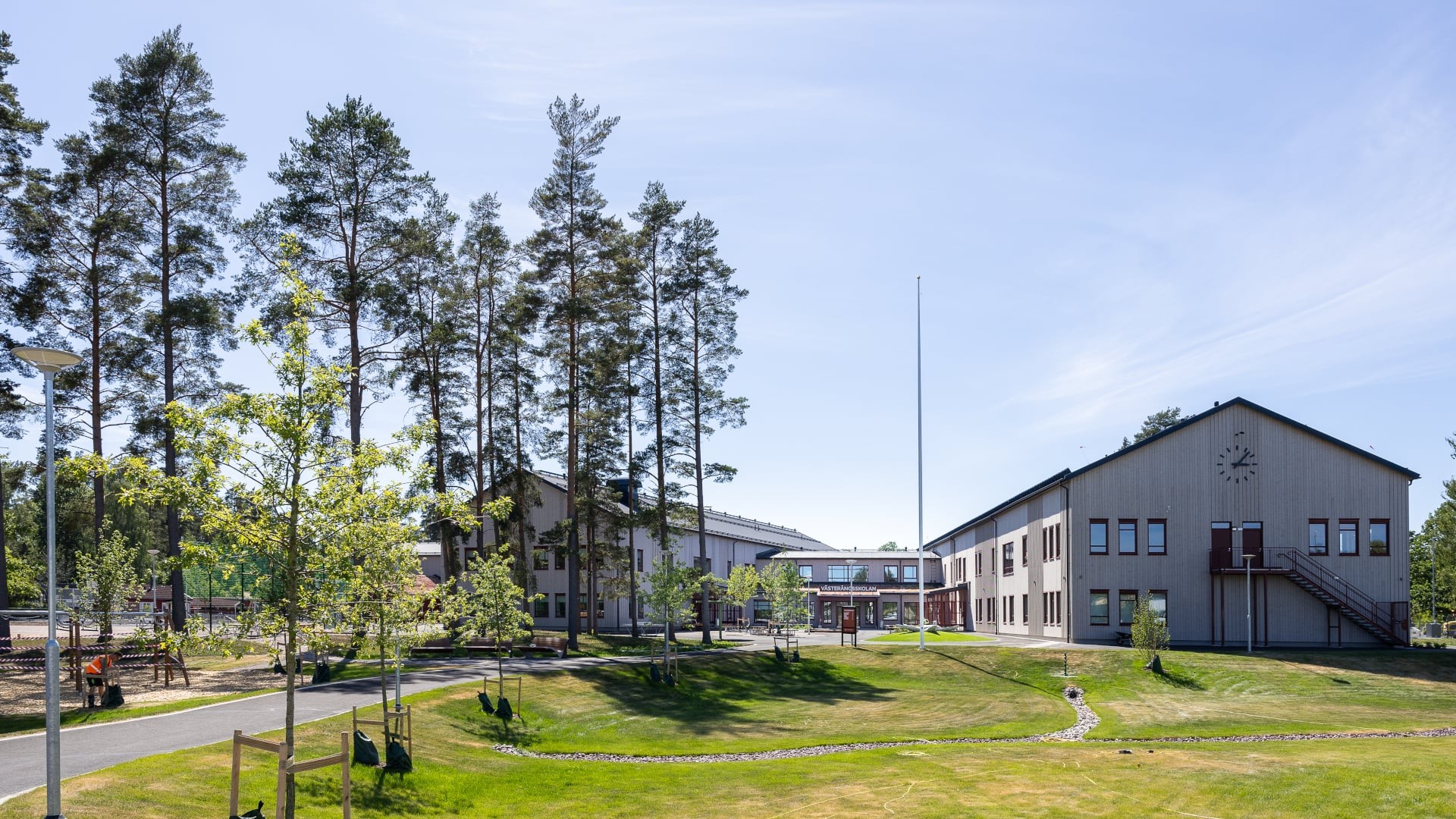 Vy över skolområdet med Västerängsskolans byggnader, grönytor och höga tallar.