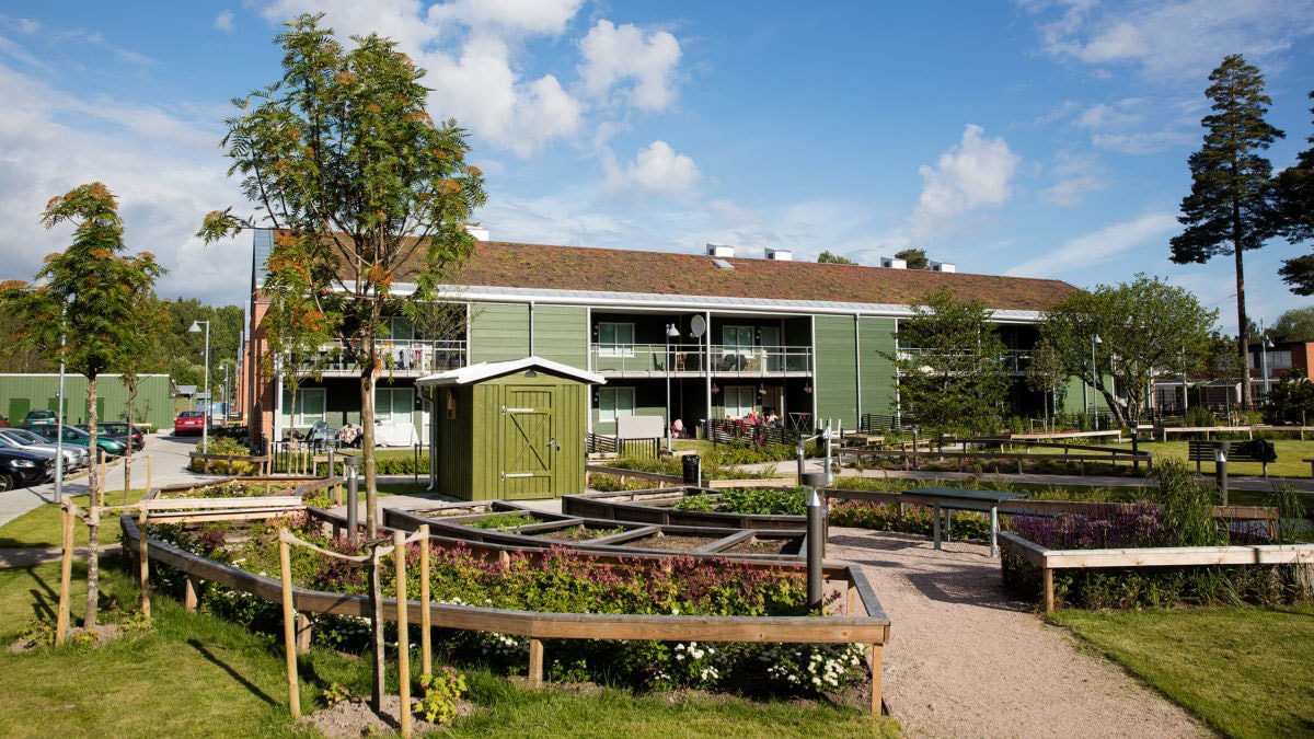 En fridfull vy över gröna bostadsbyggnader med frodiga trädgårdar och ett pittoreskt träskjul.